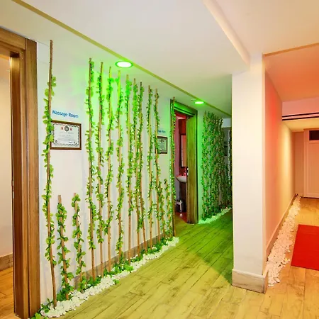 Hotel Kleopatra Ramira - 4*