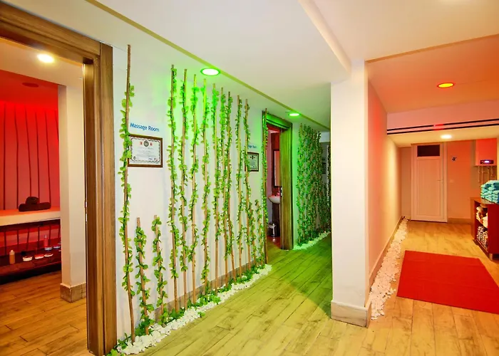 Hotel Kleopatra Ramira 4*